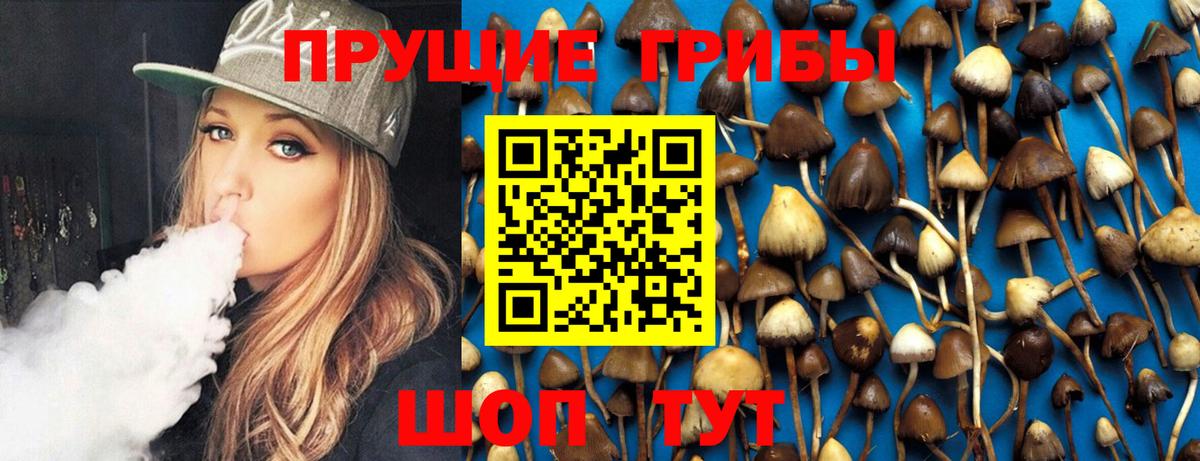 Галлюциногенные грибы GOLDEN TEACHER  Вход с VPN  Чебаркуль  Галлюциногенные грибы MAGIC MUSHROOMS 